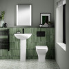 Nuie Ava Rimless Back To Wall Toilet & Soft Close Seat